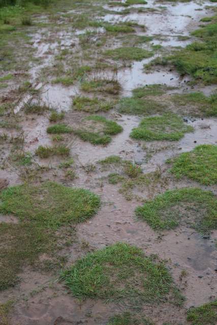 Islands in the footpath
